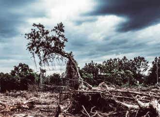 O risco real que o Brasil corre hoje de destruição do patrimônio ambiental e histórico