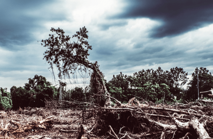 O risco real que o Brasil corre hoje de destruição do patrimônio ambiental e histórico